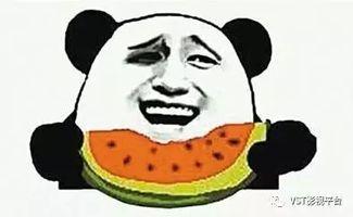 17吃瓜群众热门大瓜,那些年我们追过的“瓜”